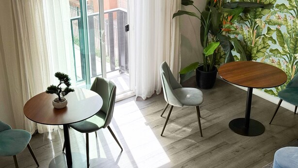 Un salon moderne avec une table ronde en bois, deux chaises, un bonsai en pot et une grande plante.