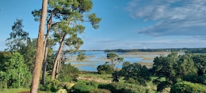 Paisagem natural com corpo d'água, árvores e uma vista distante de uma cidade.