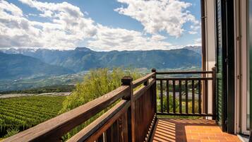Superior-Doppel- oder -Zweibettzimmer, Bergblick | Terrasse/Patio