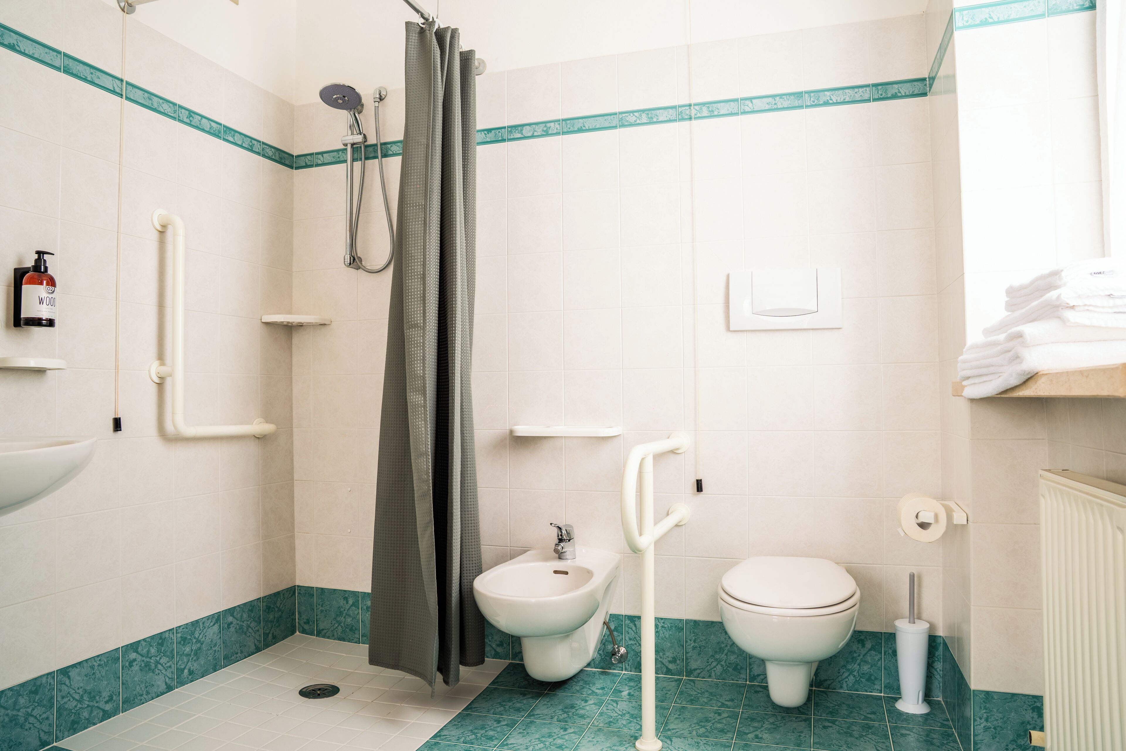 Une salle de bain équipée d’un bidet, de toilettes, d’une douche et d’un porte-serviettes.