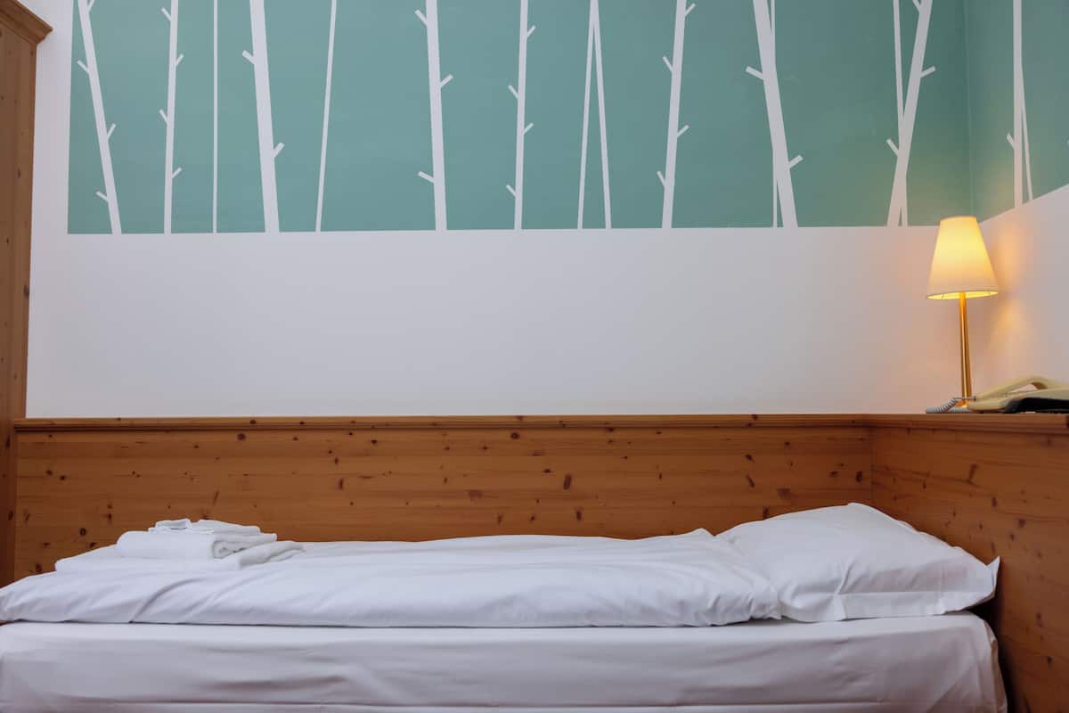 Enkeltrom – standard, fjellutsikt | Safe på rommet, skrivebord, wi-fi (inkludert) og sengetøy