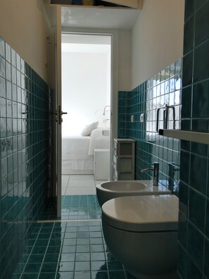 Shower, hair dryer, bidet, towels