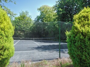 Sport court - 2 bedroom accommodation in LLanteg, near Narbeth (LLanteg, near Narbeth)