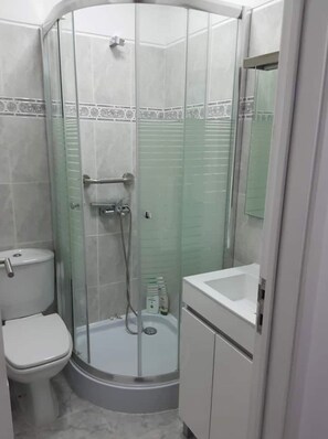 Shower, bidet, towels, toilet paper