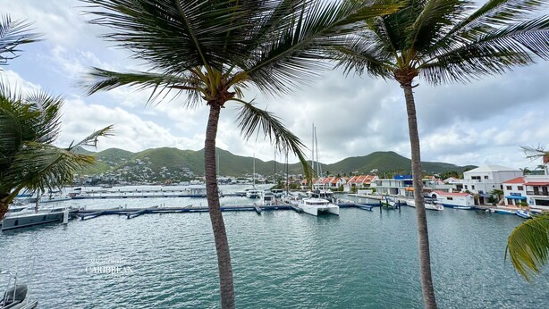 Un port de plaisance où sont amarrés des bateaux, entouré de bâtiments et de palmiers.