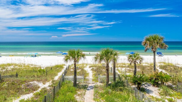 A beach with a clear sky, palm trees, and a pathway leading to the water.