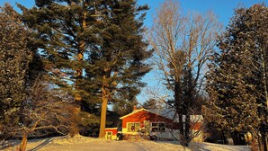 A house surrounded by snow-covered ground and trees.