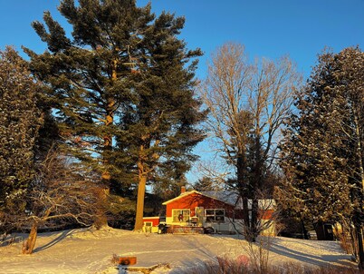 ☃️Cozy Lakefront Cabin on trail 8❄️ 🌨️Experience the true beauty of the real UP!
