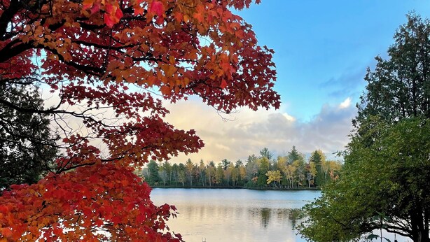 A lakeside view with autumn leaves, two pumpkins, and a bird feeder.