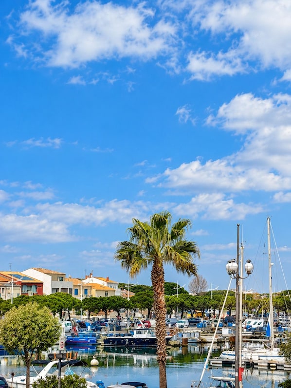 A marina with boats docked, a palm tree, and buildings in the background.