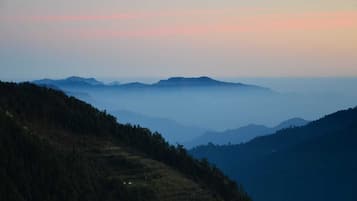 Vista desde la propiedad