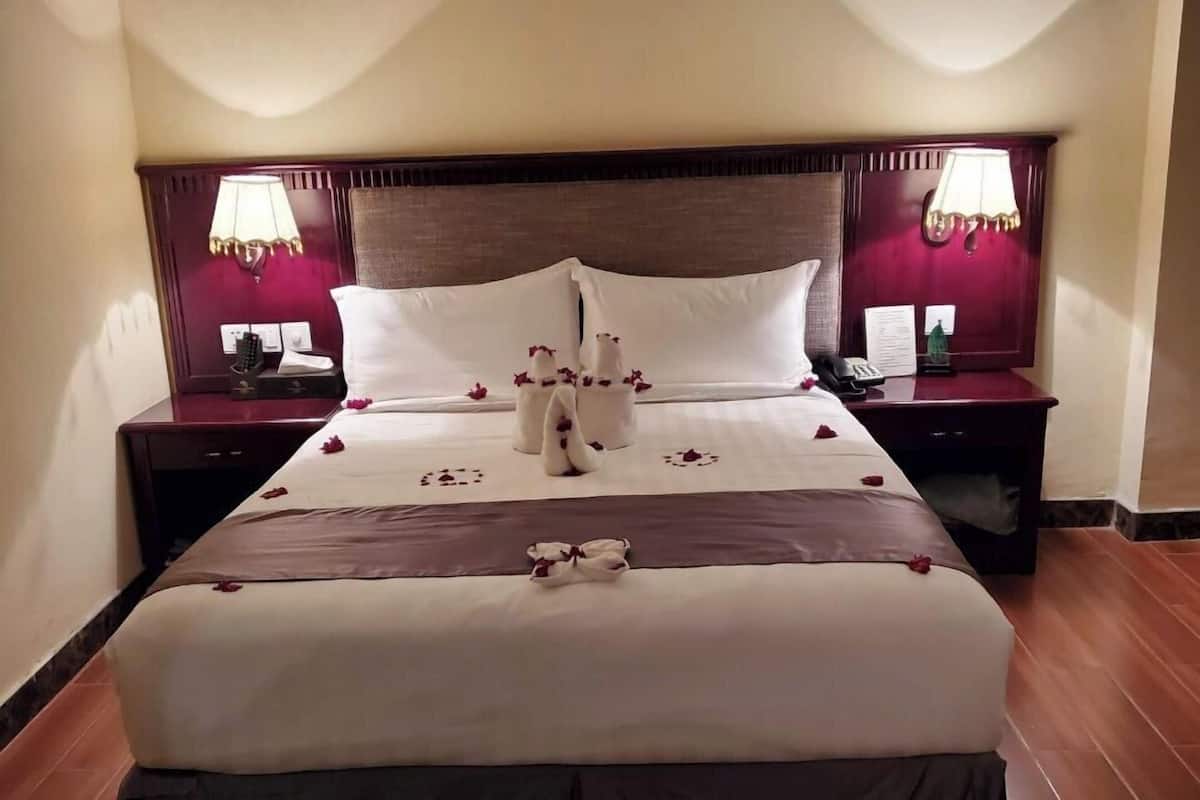 Standard Single Room, Non Smoking | 1 bedroom, in-room safe, desk, iron/ironing board