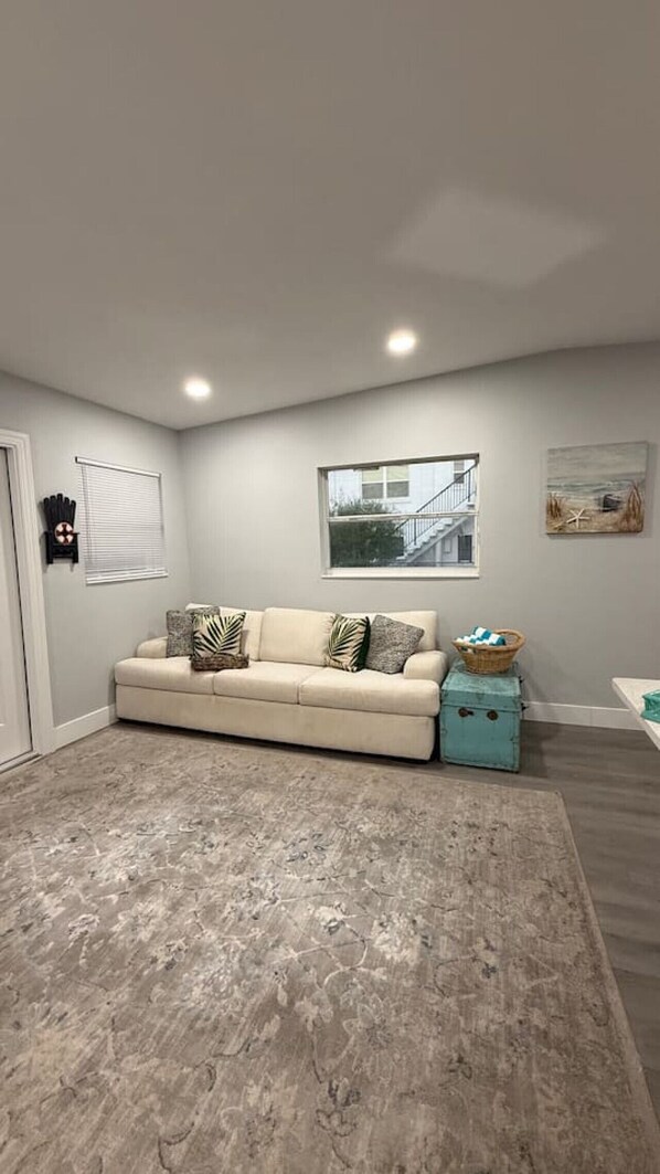 TV, fireplace, table tennis, books