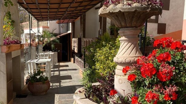 A courtyard with a stone fountain, potted plants, and outdoor seating. - Casa 12 Reales (Guanajuato)