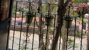 A balcony with a view of purple flowering trees and a cityscape in the background. - Casa 12 Reales (Guanajuato)