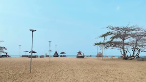 Une plage avec des parasols, des chaises longues et un arbre.