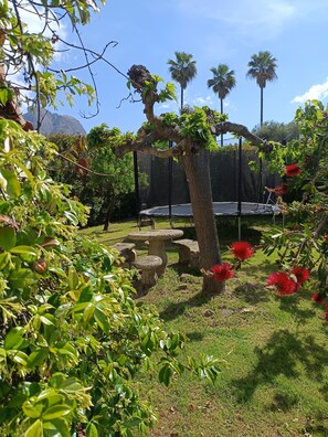 A garden with a stone table and chairs, surrounded by lush greenery and palm trees. - Villa with a pool near the Gulf of Lava in July and August  (Appietto)
