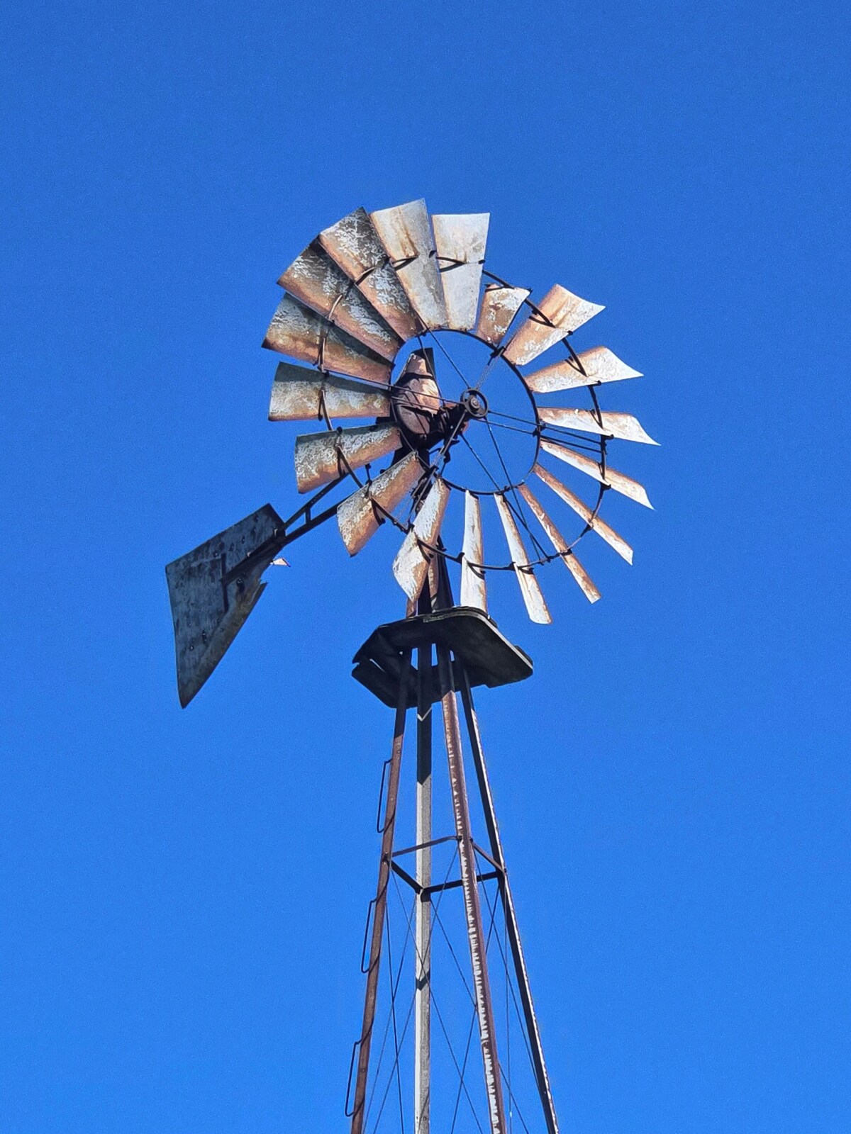 Värdens profilbild