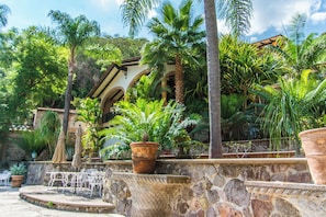 A stone wall with a palm tree, a potted plant, and outdoor furniture. - ANANA Rancho San Rafael Master Bedroom (Ajijic)