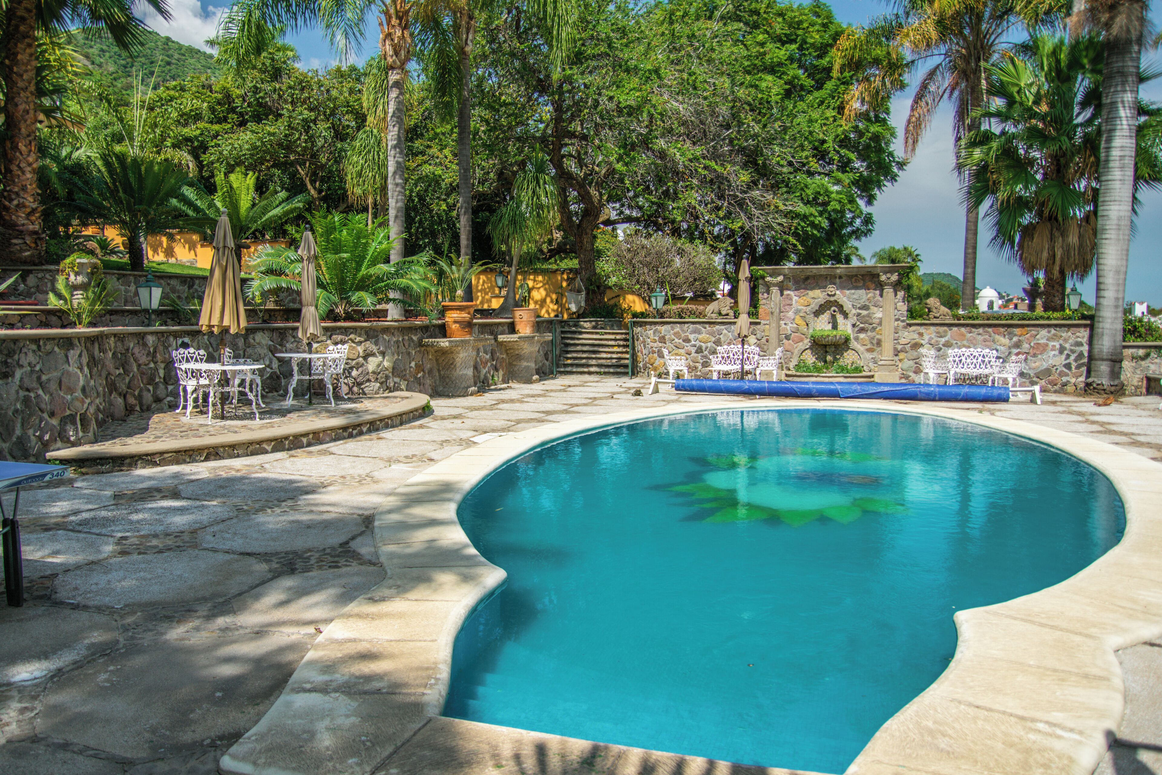 A swimming pool with stone steps leading to it, surrounded by palm trees and outdoor furniture.