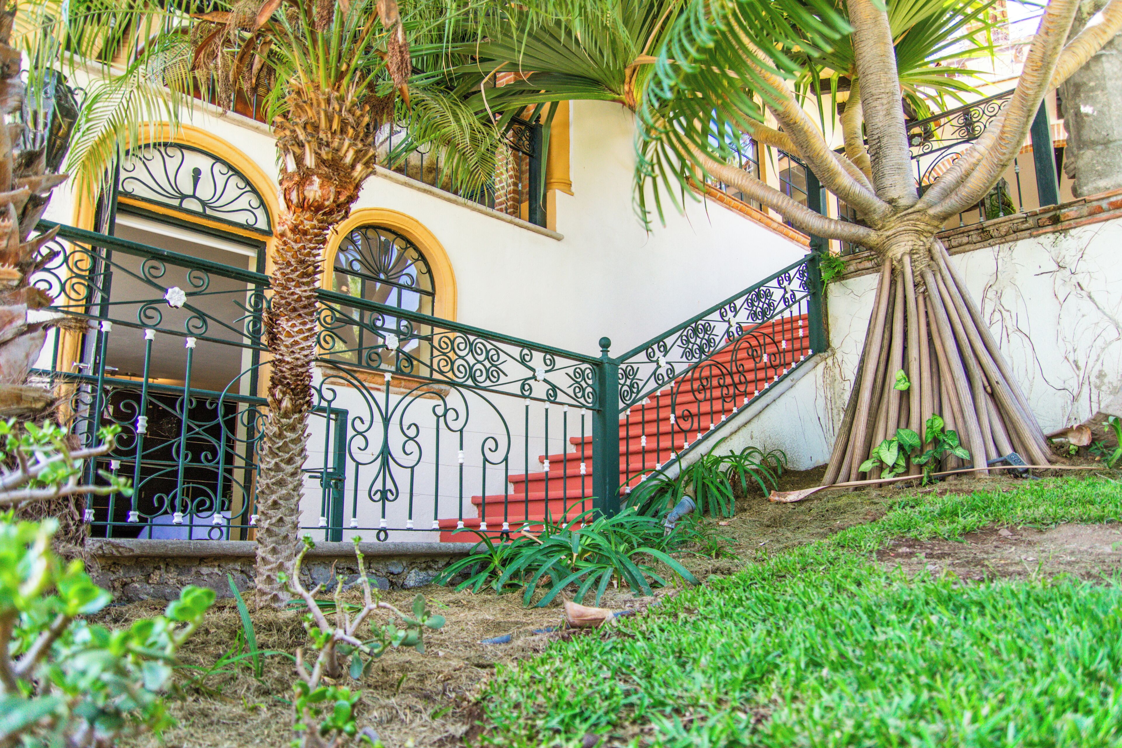 A staircase with ornate metal railings, a palm tree, and a building with a white facade and yellow trim.