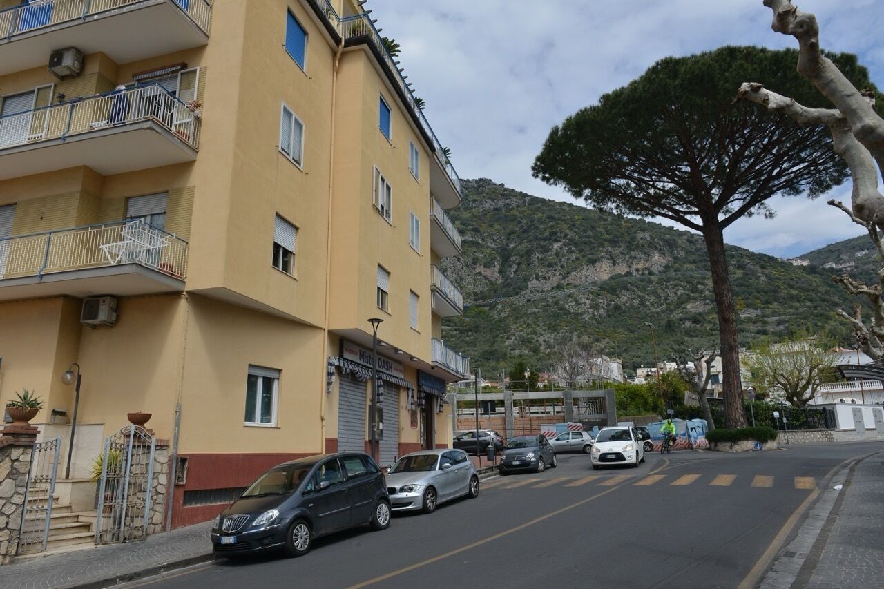 Un edificio amarillo con balcones, coches estacionados y un árbol en primer plano.