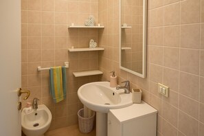 Shower, hair dryer, bidet, towels