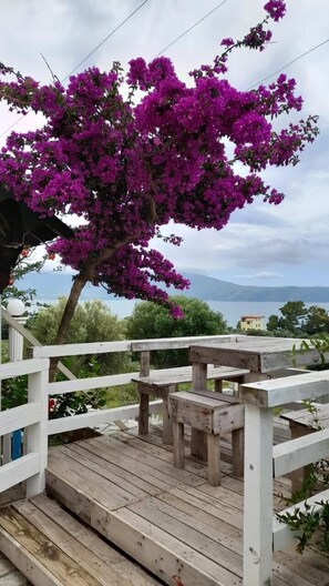 A wooden deck with white railings, a bench, and a bougainvillea tree with purple flowers. - mermaid (Vlore)