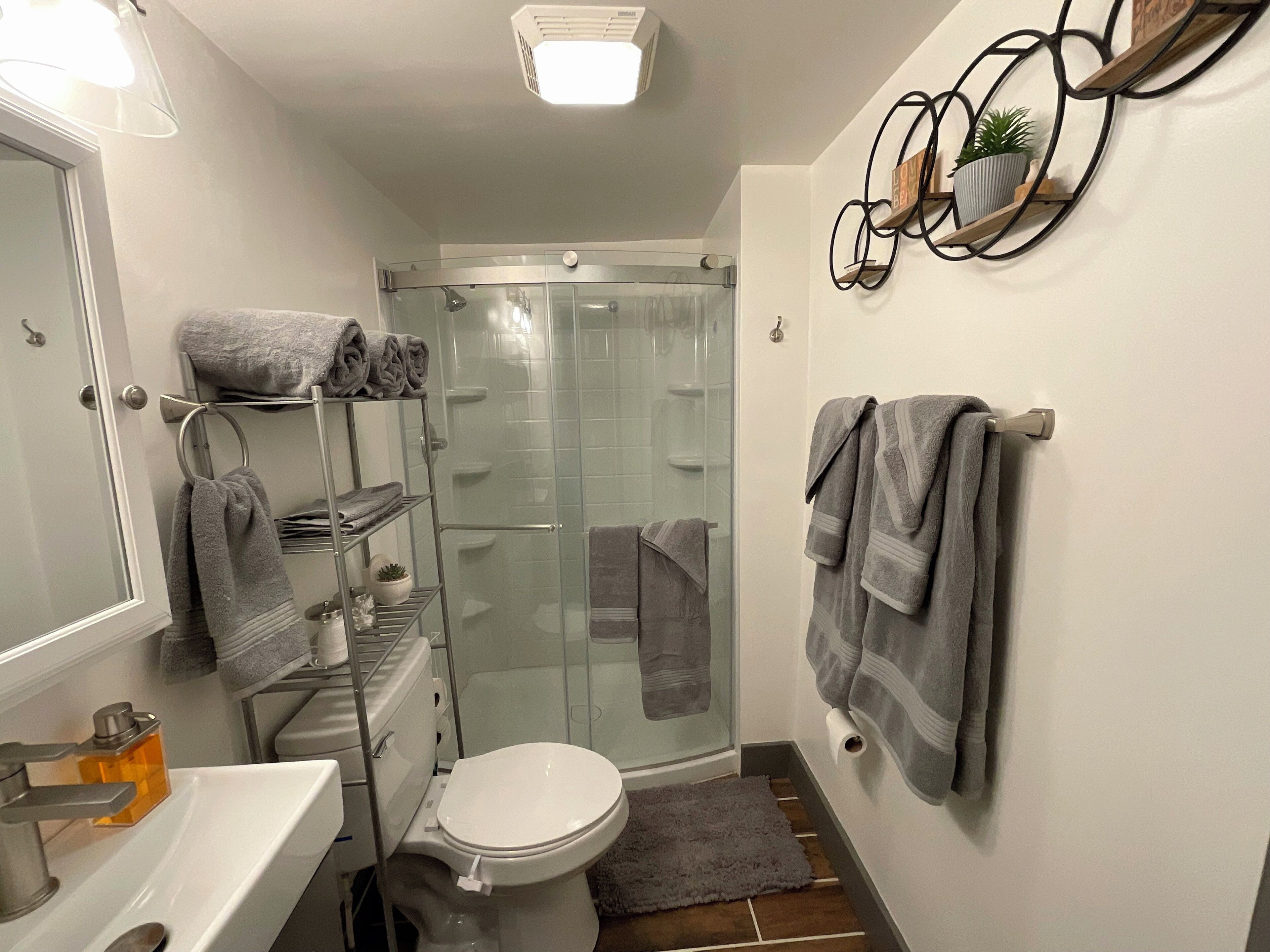 Shower, towels, toilet paper