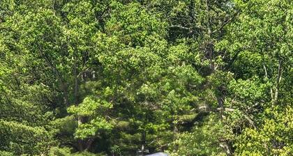 Sleep 6, Lakeview Cottage with private beach, boat dock & spectacular views.