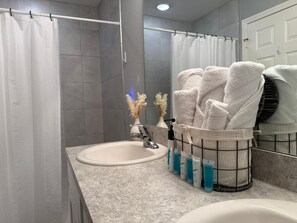 Ducha, secador de pelo, bidé y toallas