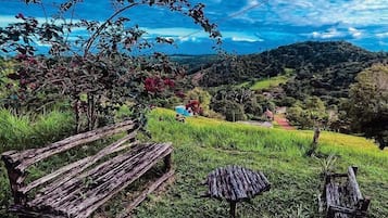 Jardim