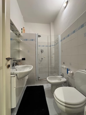 Regadera, secadora de cabello, bidet, toallas