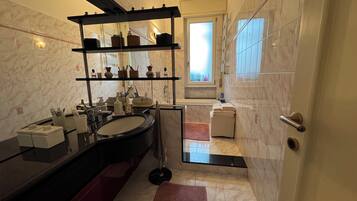 Shower, hair dryer, bidet, towels