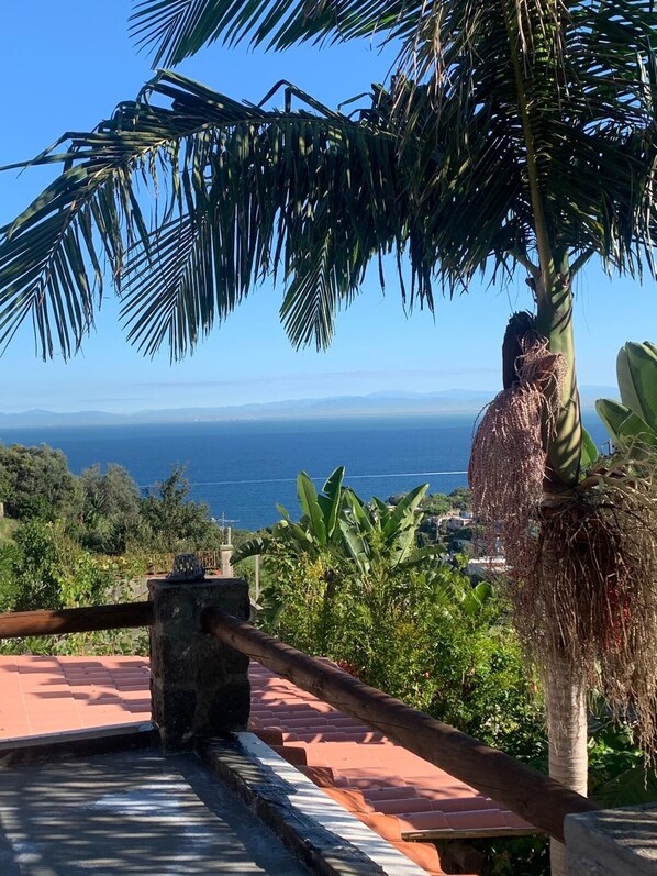 Property grounds - Villa Panorama (Casamicciola Terme)