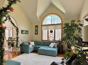 Smart TV, fireplace, video games, DVD player