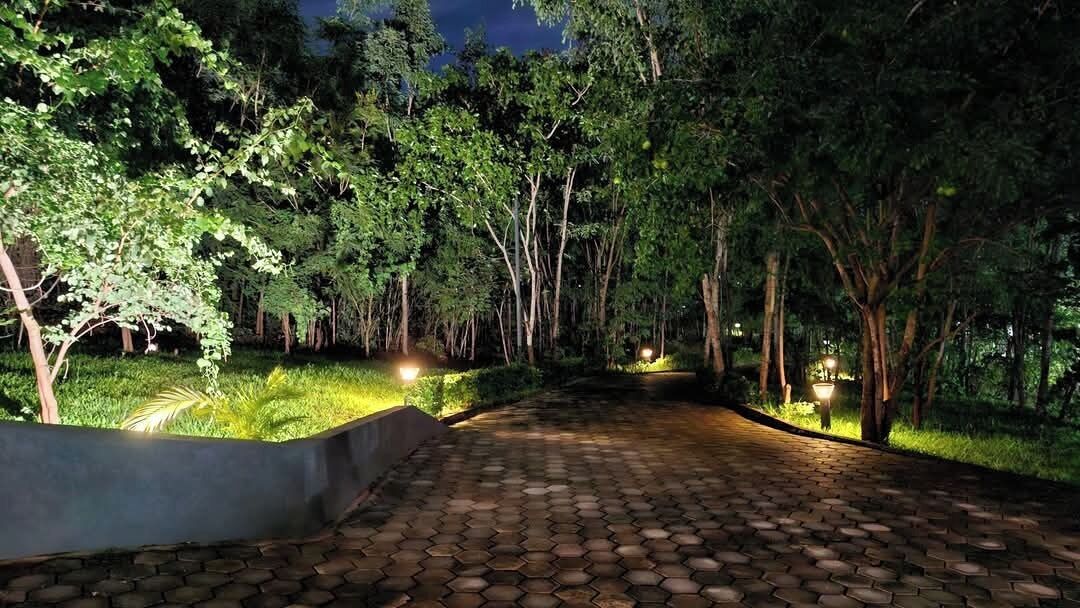 A paved pathway flanked by trees and illuminated by ground lights.
