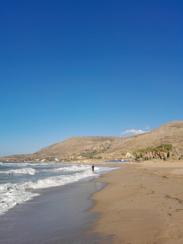 Beach - Thei's Nest in a large garden in the Prines' centre near restaurants, beach,city (Prines)