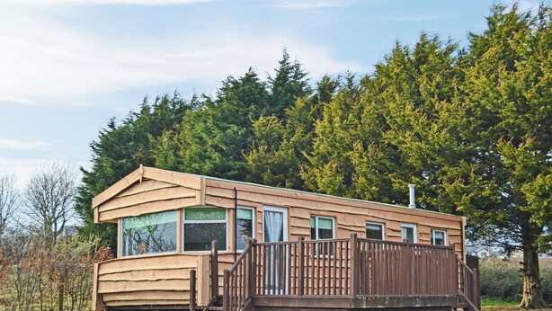 Une cabane en bois dotée d’une terrasse, de grandes fenêtres et offrant une vue sur une forêt.