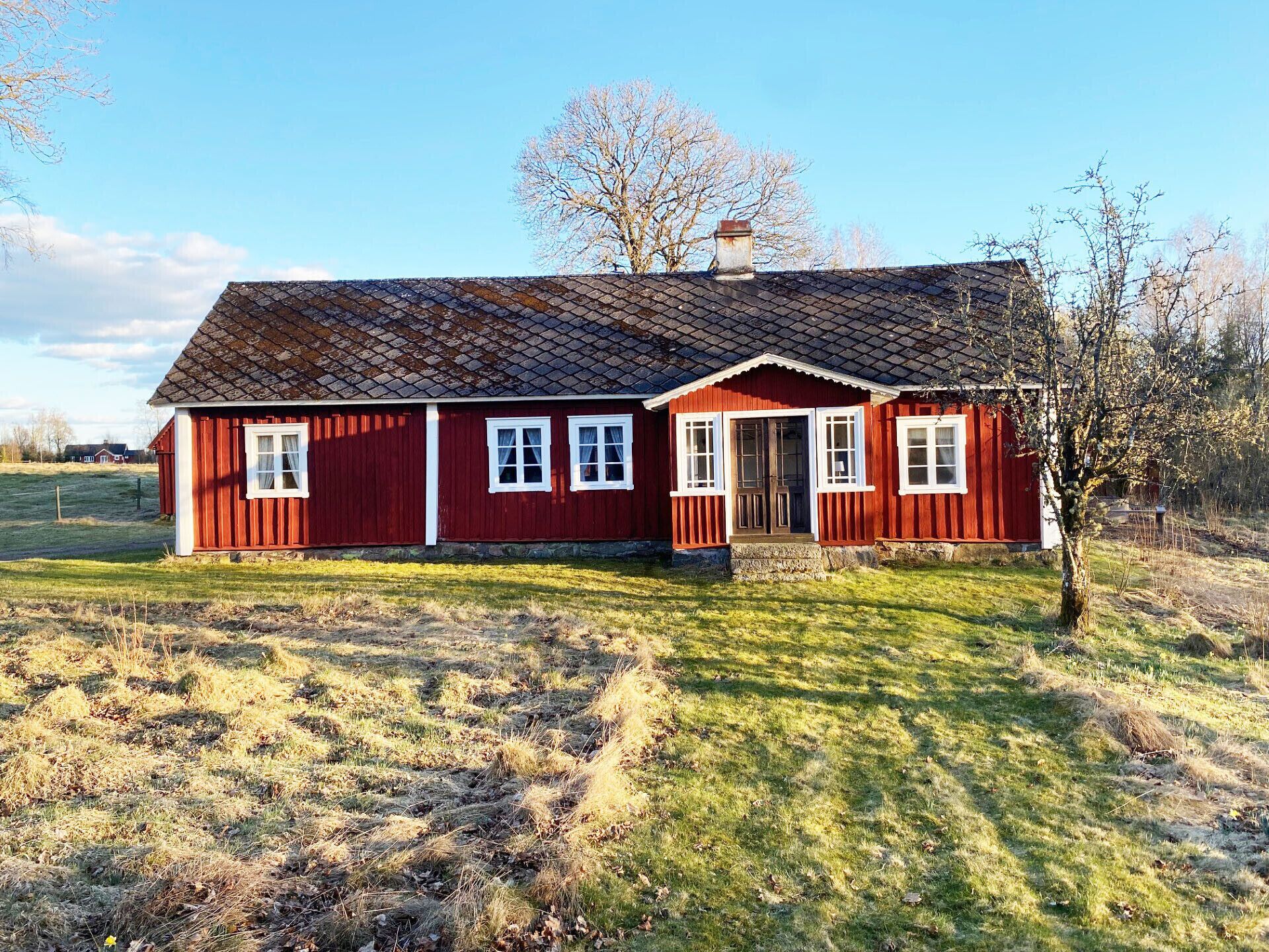 Eksteriør