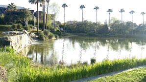 Rustig waterlichaam omringd door groen en palmbomen.