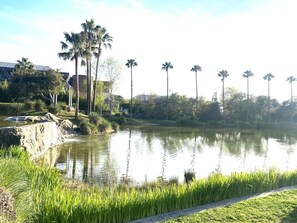 Property grounds - Modern apartment in residence with tennis pool - lake view 10 mn from Cannes (Le Cannet)