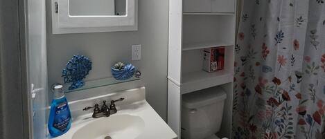 Hair dryer, towels, soap, shampoo