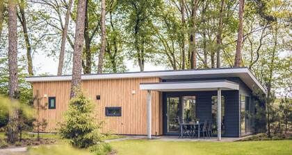 4-person Villa in Voorthuizen With View