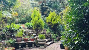 A garden with various potted plants, a stone bench, and a brick pathway. - Traditional English House (Brighton and Hove)