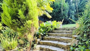A stone staircase surrounded by lush greenery and plants. - Traditional English House (Brighton and Hove)
