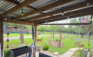 Property grounds - Glamping in the City!
A beautiful two acre country pocket in the city (San Antonio)