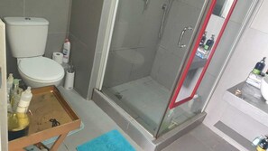 Shower, towels, soap, toilet paper