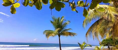 Sun loungers, beach towels