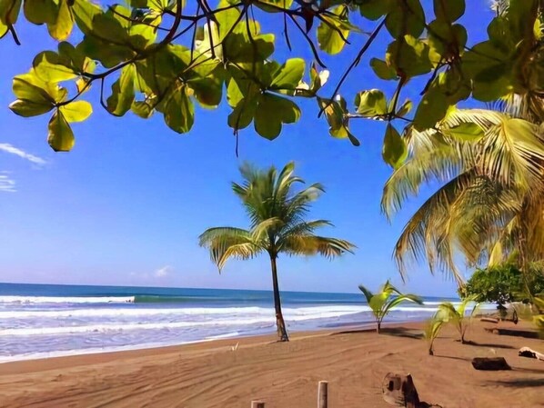 Beach nearby, sun loungers, beach towels